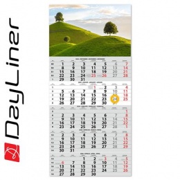 Naptár, speditőr, öt hónapos, egy tömbös, DAYLINER